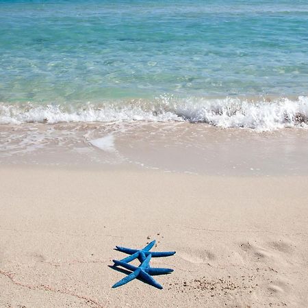 Mira Spiaggia Hotel San Vito Lo Capo Eksteriør billede