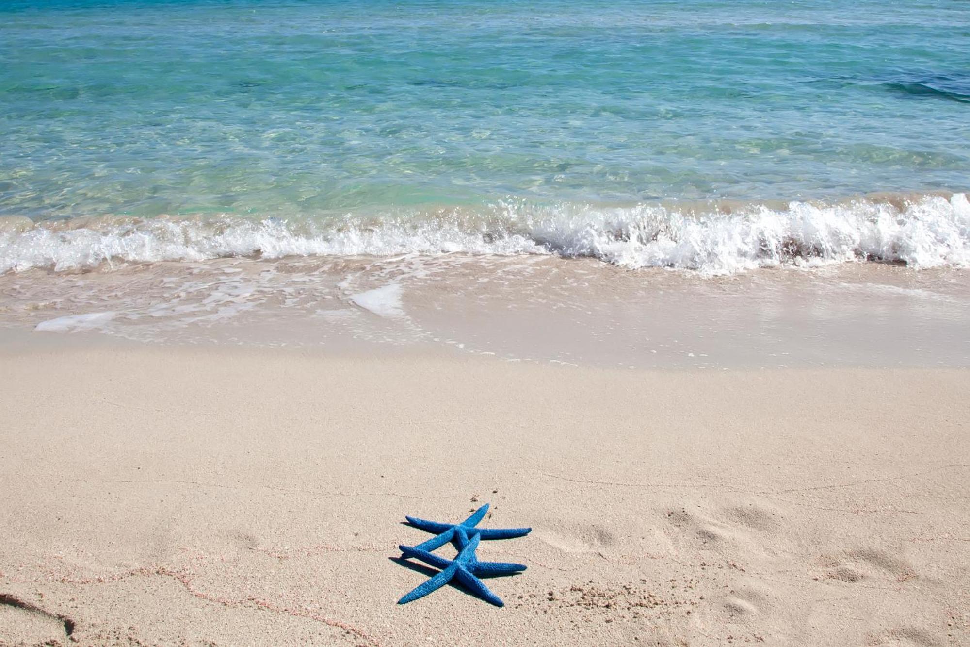 Mira Spiaggia Hotel San Vito Lo Capo Eksteriør billede